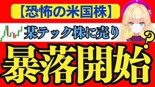 【米国株恐怖】暴落開始？某テクノロジー株に売り。はたしてどうなるのか（米国マクロ経済・米国株投資を投資系Vtuberが徹底解説）