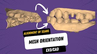 How to do the alignment of scans, mesh orientation. #2