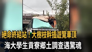 大樹枝幹插入遊覽車頂2人傷 大學生鄉土調查遇驚魂－民視新聞