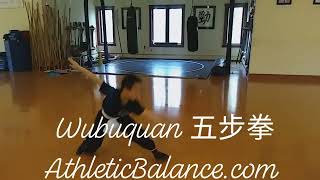 Wubuquan 五步拳