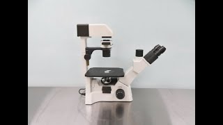 Basic Inverted Microscope for Sale