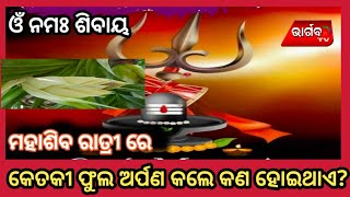 ମହା ଶିବ ରାତ୍ରୀ ରେ କାହିଁକି କେତେକି ଫୁଲ ଅର୍ପଣ କରାଯାଏ /specialpujaMahadev on mahashiv ratri by panadanus