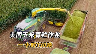 美国玉米青贮作业，一次同时收割12行，一小时收割玉米330吨