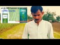 dhanuka chempa pretilachlor paddy herbicide धानुका के केम्पा पेटिलकॉलोर किसान review after use