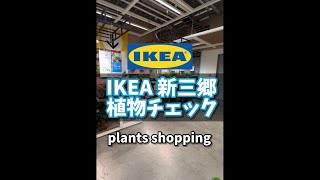 IKEA新三郷店植物チェック！plants shopping #観葉植物 #houseplants #ikea #イケア