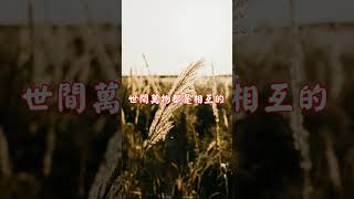 真正的享福，莫過於「惜福再造福」 | 佛誠 心靈探索 #shorts #佛誠 #人生