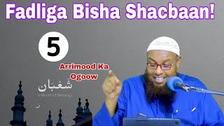 Fadliga Bisha Shacbaan Qodobo Muhiim Ah Inaad Ogaatid || Sheikh maxamuud xaliike #shacbaan