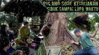 seharian bekerja sampai kehujanan pulang dari menunggu durian warta petani muda hidup di hutan