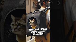 猫と一緒に備える地震対策：最新の防災情報と避難のポイント #猫のいる暮らし