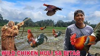 Wild Chicken huli sa Bitag ng mangangaso...Dumarami na wild chicken sa bukid...