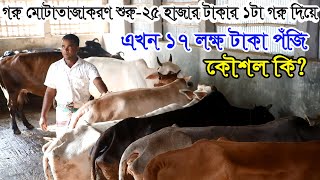 গরু মোটাতাজাকরণে জিরো থেকে হিরো নাজিরুল | গরু মোটাতাজাকরণ বেশি লাভের কৌশল কি? গরু মোটাতাজাকরণ খামার