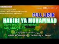 Lirik Habibi ya Muhammad cover by Arinil Haq Salsabilah