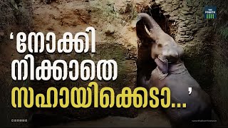 നോക്കി നിക്കാതെ സഹായിക്കെടാ | Wild Elephant | Kothamangalam