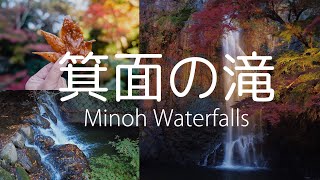 (jp/en)【ひとり旅#09】秋の箕面の滝／Solo trip to Osaka Minoh Waterfalls during autumn