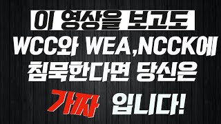 이것을 보고도 WCC와 WEA, NCCK에 침묵한다면 당신은 가짜입니다!