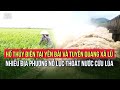 Hồ thủy điện tại Yên Bái và Tuyên Quang xả lũ, nhiều địa phương nỗ lực thoát nước cứu lúa | VTV24