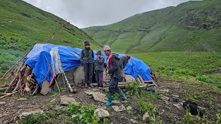 Relocating Domestic Animals and Constructing Shepherd Shelters || Western Village Life Of Nepal