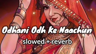 Odhani Odh Ke Nachu (Slowed + Reverb) | Tere Naam| udit narayan | salman khan #90s