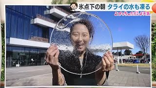 凍える朝　静岡市でも氷張る【静岡・ただいま天気　2/6】