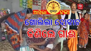 subhadra yojana money - ସୁଭଦ୍ରା ଟଙ୍କାର ସଦୁପଯୋଗ, କେଉଁଠି ଦୋକାନ ତ କେଉଁଠି ଗାଈ କିଣିଲେ ମହିଳା