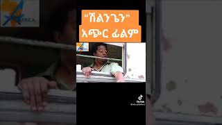 ሽልንጌ film  ምርጥ ሀገርኛ ፊልም አሁኑኑ ይመልከቱት