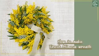 【ミモザの日】フレッシュミモザリースの作り方 How to make fresh Mimosa wreath