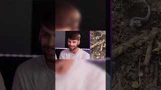Mr Beast Funny Reaction Dont Laught Snake #shorts #mrbeast #funnymoments