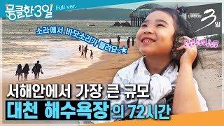 [다큐3일⭑Full] 우리나라 3대 해수욕장 중의 하나로 손꼽히는 바다 🌊 ‘대천 해수욕장'의 72시간 | KBS 방송