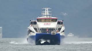 Catamaran CKS《中山 6  ZHONG SHAN 6》Crossing Tsing Ma Bridge 20250207