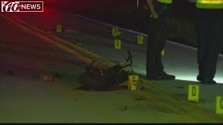 Two Polk children killed in scooter accident