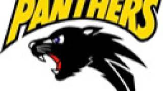 Panasonic Panthers | Wikipedia audio article
