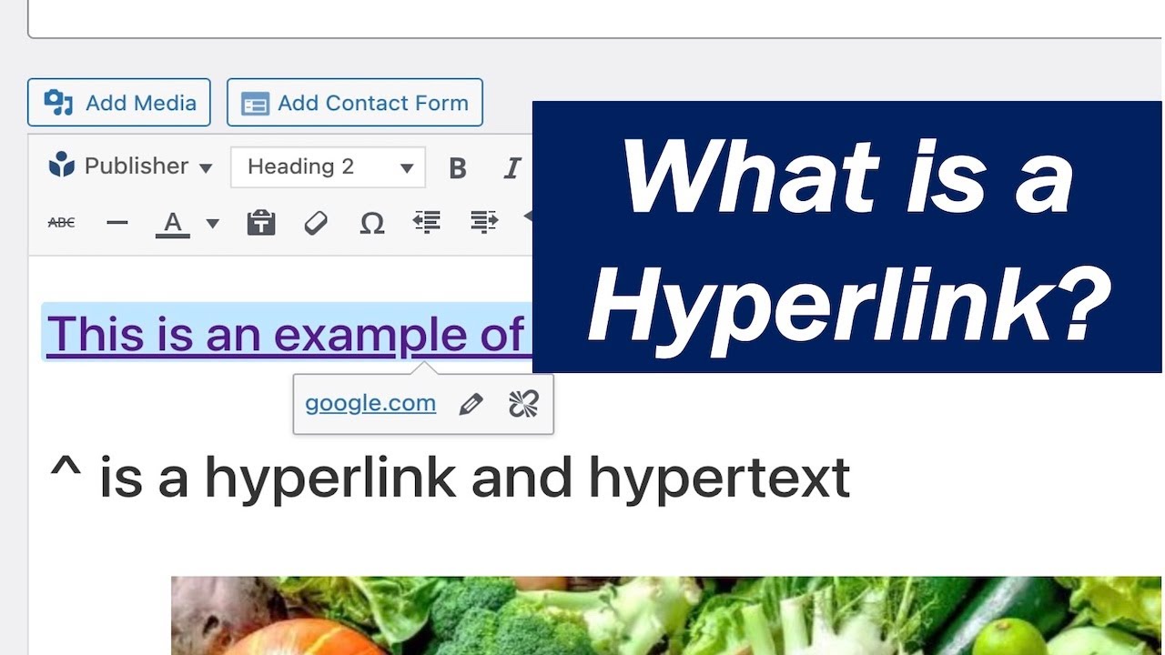 Hyperlink Html Explained At Pauline Smith Blog