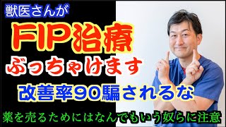 改善率９０％に騙されるな！　猫伝染性腹膜炎FIP治療の実際 2022年⑧