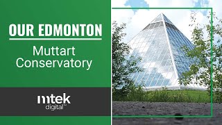 Our Edmonton - Muttart Conservatory