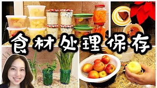 食材处理和保存方法 Vol 1. | 香菜保存 水果蔬菜保存 银耳怎么煮 | 如何快速做菜 | 快手菜谱方子 | Food Prep | Real Simple Jill