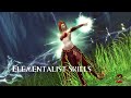 guild wars 2 elementalist and engineer skills