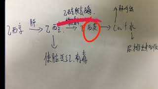 喝酒不能不知的秘密！再上酒桌不怕被劝酒了！