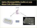 a novel in vitro approach to study biocompatibility and wound healing