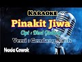 PINAKIT JIWA | KARAOKE LAGU KARO | VERSI GENDANG SALIH | NADA COWOK