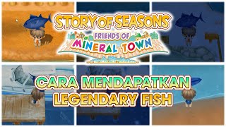 CARA MENDAPATKAN LEGENDARY FISH - Story of Season: FoMT Indonesia