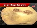 annadata आलू की खेती कब और कैसे करें farming in india farming tips potato farming