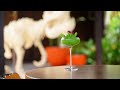 Making the perfect 'Velaa'ciraptor Cocktail for Halloween | Velaa Private Island Maldives