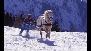 Skijoring - The Incredible Horse Skiing Sport