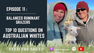 Ep. 11 - Balanced Ruminant Grazers | Top 10 Questions We Get Asked About Australian Whites