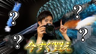 【今すぐ買え】野鳥撮影の満足度が上がるアイテム12選！