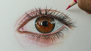 Como desenhar um Olho castanho realista