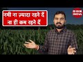 हरे चारे का पशु आचार how to make silage सालभर हरा चारा how to store green fodder maki achar