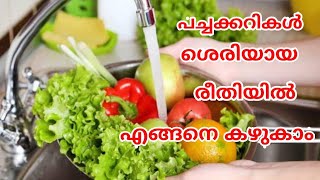 എങ്ങനെ പച്ചക്കറികൾ നന്നായി കഴുകാം | How to clean വെജിറ്റബ്ൾസ് Right way | Spread virals