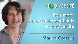 Bois mort, dendro-micro-habitats et biodiversité