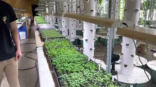 Aquaponic Tower Farm Tour: Aqua Garden